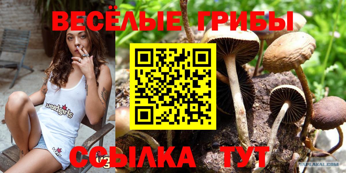Галлюциногенные грибы Cubensis  Вход с VPN  Галлюциногенные грибы Cubensis  Костомукша 