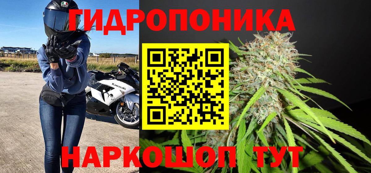 Костомукша  Шишки марихуана индика  Бошки марихуана планчик  Вход с VPN  Шишки марихуана индика 